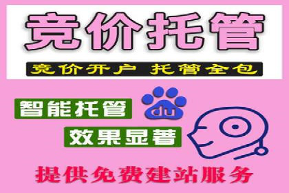 广告新纪元：信息流广告的投放技巧与成功故事